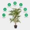 Homescapes Tall Artificial Bamboo Tree in Black Pot