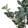 Large-Eucalyptus-Tree-Artificial-150cm-Premium-Plant-Green-One-Size-1 Large Eucalyptus Tree Artificial 150cm Premium Plant | Green | One Size