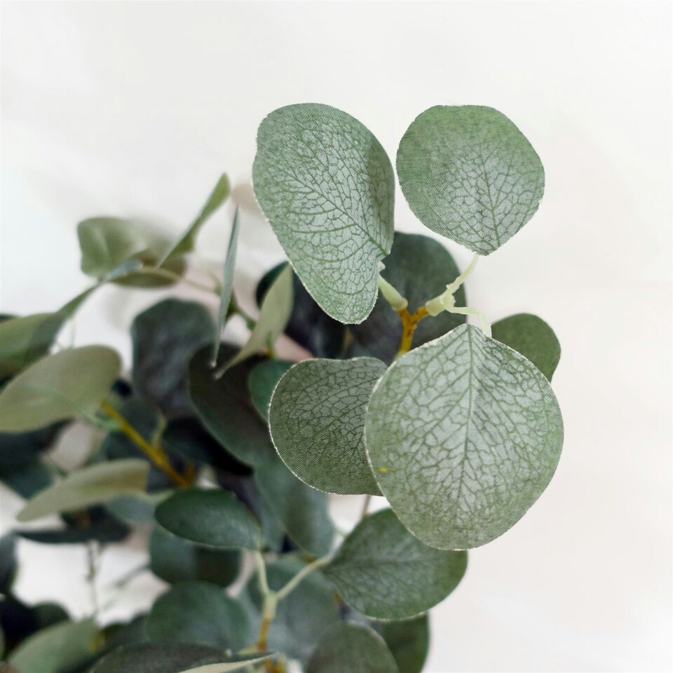 Large-Eucalyptus-Tree-Artificial-150cm-Premium-Plant-Green-One-Size-3 Large Eucalyptus Tree Artificial 150cm Premium Plant | Green | One Size