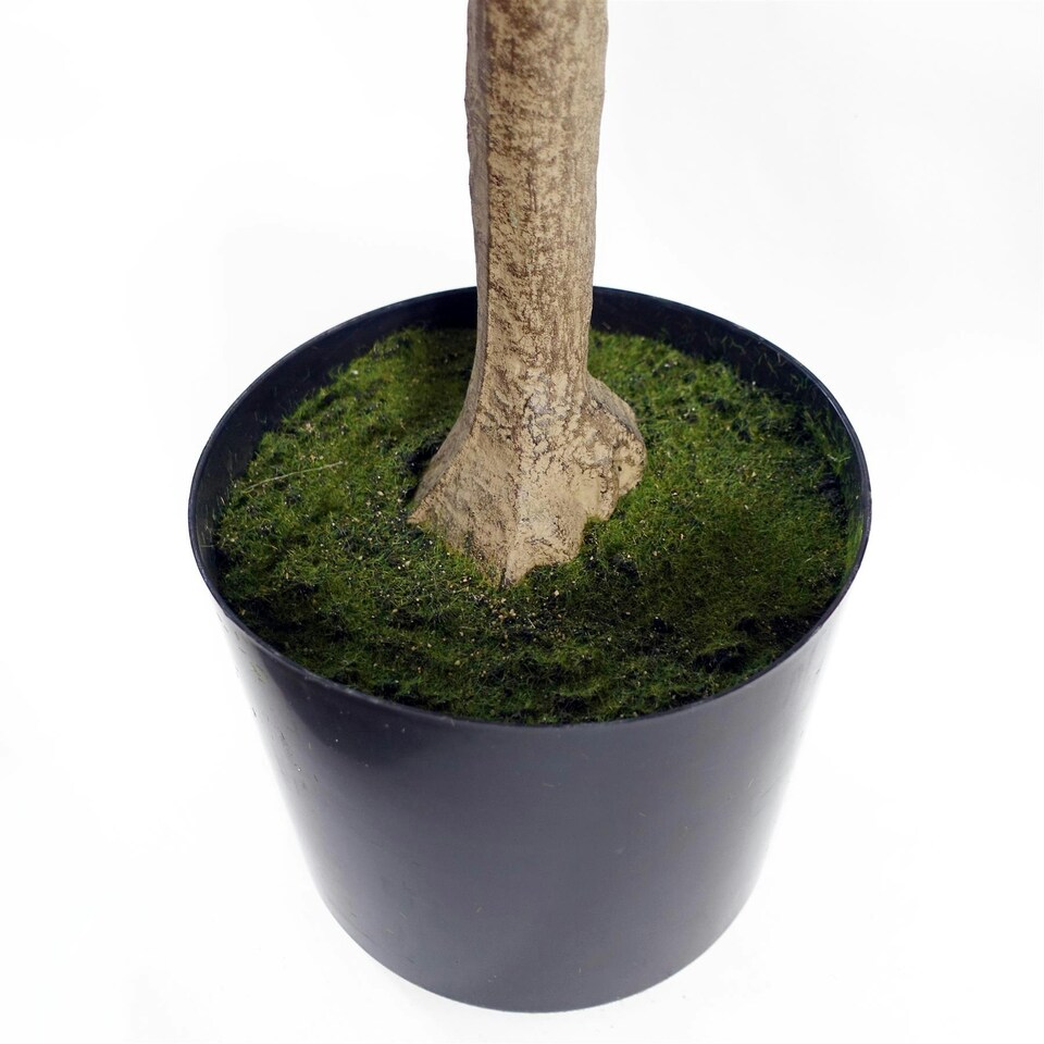 Large-Eucalyptus-Tree-Artificial-150cm-Premium-Plant-Green-One-Size-5 Large Eucalyptus Tree Artificial 150cm Premium Plant | Green | One Size