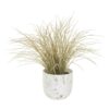Orsina Fiori Artificial Grass Plant In Ceramic Pot, Faux Plant Decor With Natural Withered Look, Easy Maintenance