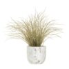 Buy Artificial Grass Plant In Ceramic Pot Artificial Plant