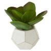 Orsina-Fiori-White-Cement-Pot-Faux-Succulent-Decorative-Artificial-Plant-with-3D-Concrete-Pot-Faux-1 Orsina Fiori White Cement Pot Faux Succulent, Decorative Artificial Plant with 3D Concrete Pot, Faux