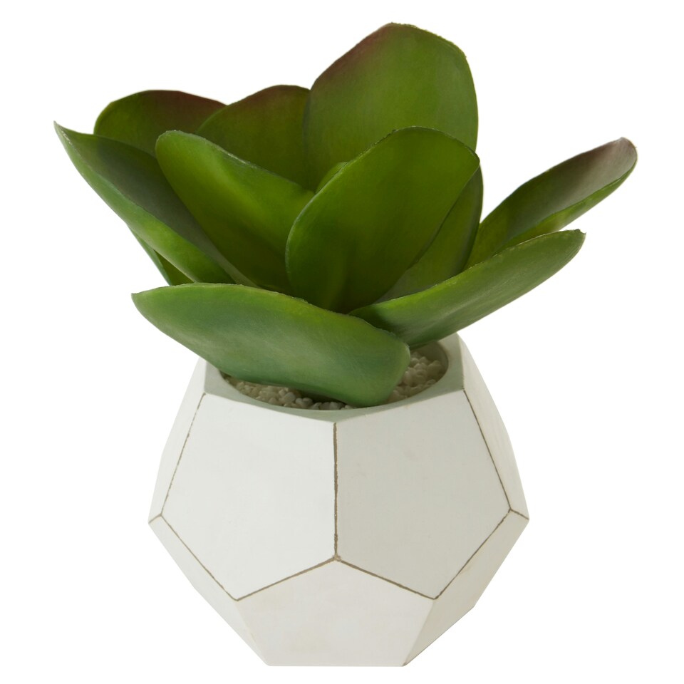 Orsina-Fiori-White-Cement-Pot-Faux-Succulent-Decorative-Artificial-Plant-with-3D-Concrete-Pot-Faux-1 Orsina Fiori White Cement Pot Faux Succulent, Decorative Artificial Plant with 3D Concrete Pot, Faux