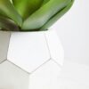 Orsina-Fiori-White-Cement-Pot-Faux-Succulent-Decorative-Artificial-Plant-with-3D-Concrete-Pot-Faux-4 Orsina Fiori White Cement Pot Faux Succulent, Decorative Artificial Plant with 3D Concrete Pot, Faux
