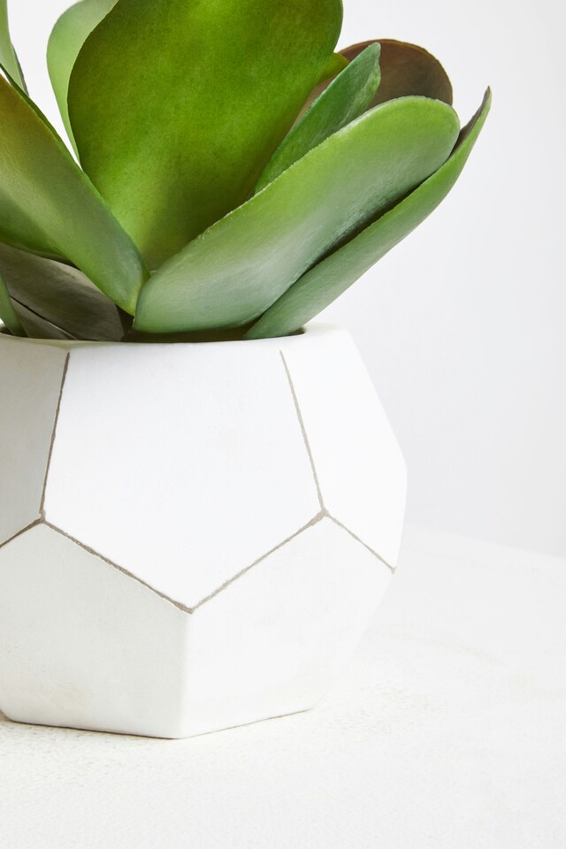 Orsina-Fiori-White-Cement-Pot-Faux-Succulent-Decorative-Artificial-Plant-with-3D-Concrete-Pot-Faux-4 Orsina Fiori White Cement Pot Faux Succulent, Decorative Artificial Plant with 3D Concrete Pot, Faux