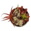 Orsina Mixed Faux Succulents In Grey Ceramic Pot, Southwestern Farmhouse Style Artificial Plants, Nature-Inspired