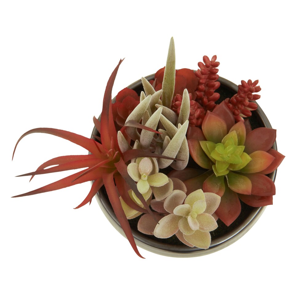 Orsina Mixed Faux Succulents In Grey Ceramic Pot, Southwestern Farmhouse Style Artificial Plants, Nature-Inspired