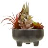 Buy Mixed Artificial Succulents In Ceramic Pot Grey