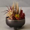 Orsina Mixed Faux Succulents In Grey Ceramic Pot, Southwestern Farmhouse Style Artificial Plants, Nature-Inspired