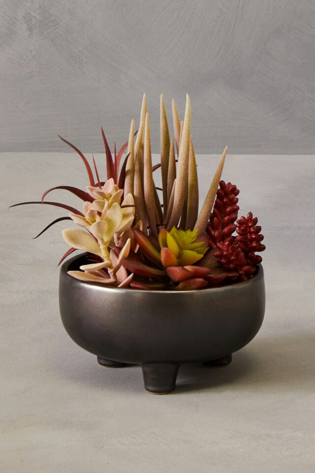 Orsina Mixed Faux Succulents In Grey Ceramic Pot, Southwestern Farmhouse Style Artificial Plants, Nature-Inspired