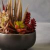 Orsina Mixed Faux Succulents In Grey Ceramic Pot, Southwestern Farmhouse Style Artificial Plants, Nature-Inspired