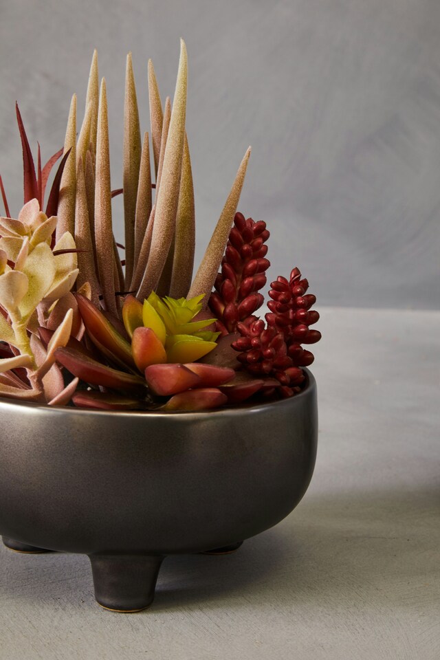 Orsina Mixed Faux Succulents In Grey Ceramic Pot, Southwestern Farmhouse Style Artificial Plants, Nature-Inspired
