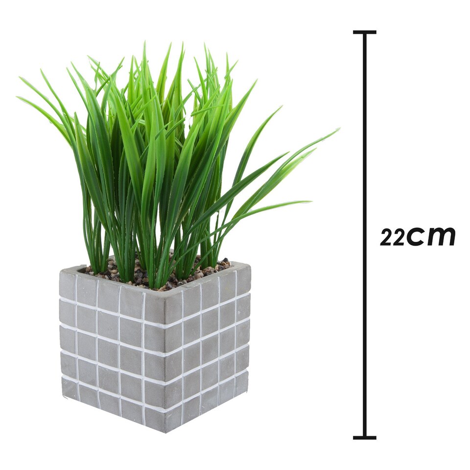 PMS Artificial Succulent in Grey Cement Pot - 22 x 11 cm
