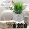 PMS Artificial Succulent in Grey Cement Pot - 22 x 11 cm