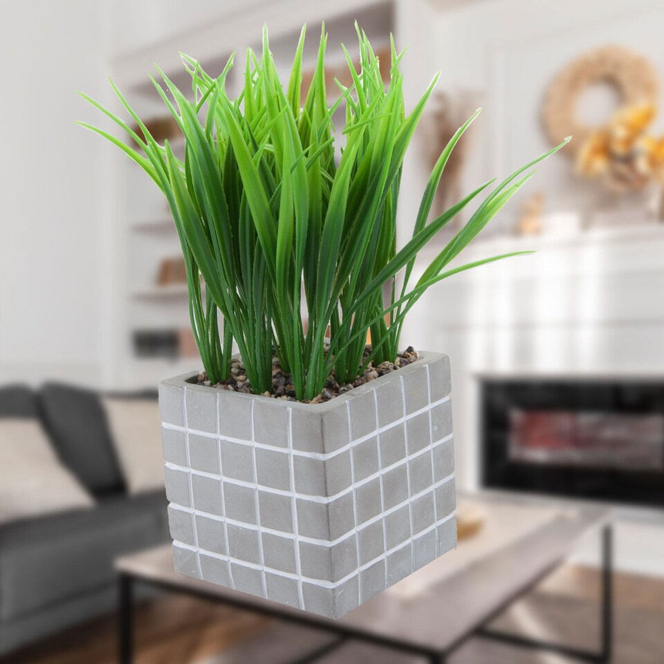 PMS Artificial Succulent in Grey Cement Pot - 22 x 11 cm
