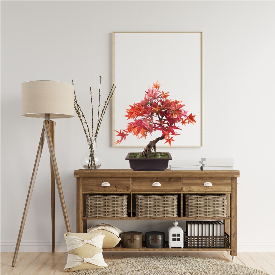 Pegdev 50cm Artificial Red Maple Bonsai Tree with Decorative Planter