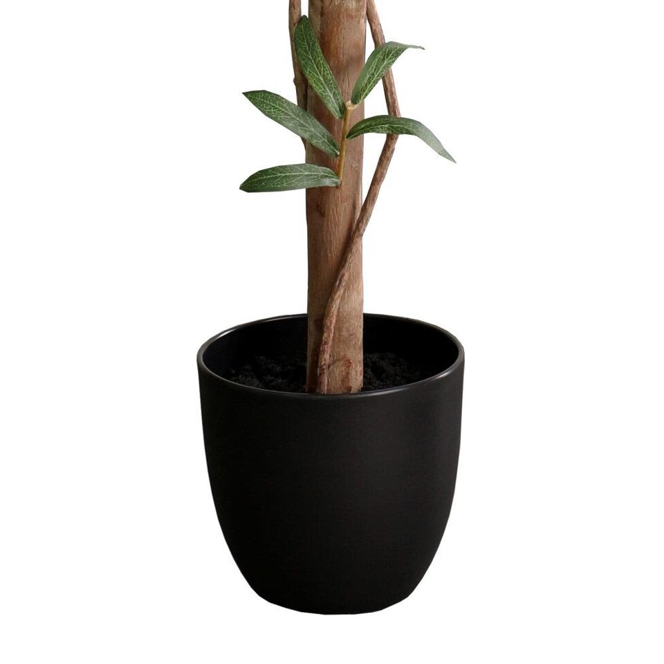 True Products Artificial Olive Topiary Tree Natural Wood Trunk 122cm