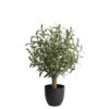 True Products Artificial Olive Tree Natural Wood Trunk in Black Pot 72cm