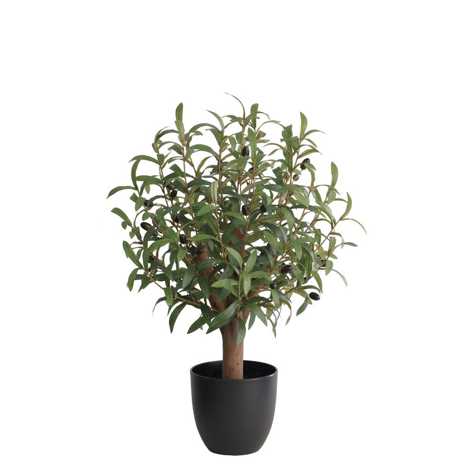 True Products Artificial Olive Tree Natural Wood Trunk in Black Pot 72cm