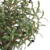 True Products Artificial Olive Tree Natural Wood Trunk in Black Pot 72cm