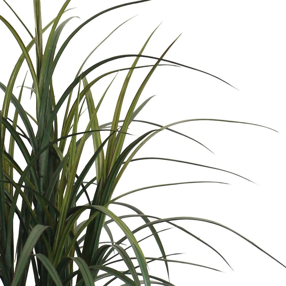 True Products Artificial Ornamental Grass Plant UV Resistant 100cm