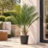 Buy Artificial Palm Tree UV Resistant 90cm | Ever Grow Green