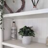 True-Products-Small-Potted-Eucalyptus-Artificial-Plant-22cm-1 True Products Small Potted Eucalyptus Artificial Plant 22cm