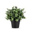 True-Products-Small-Potted-Eucalyptus-Artificial-Plant-22cm Buy Small Potted Eucalyptus Artificial Plant 22cm