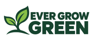 Ever Grow Green